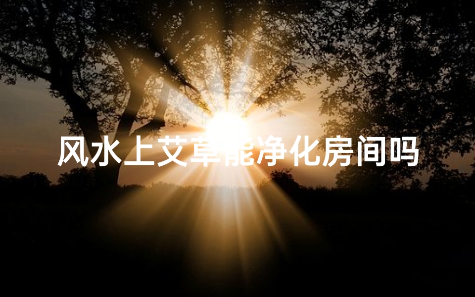 风水上艾草能净化房间吗为什么—艾草风水:能否净化房间空间?