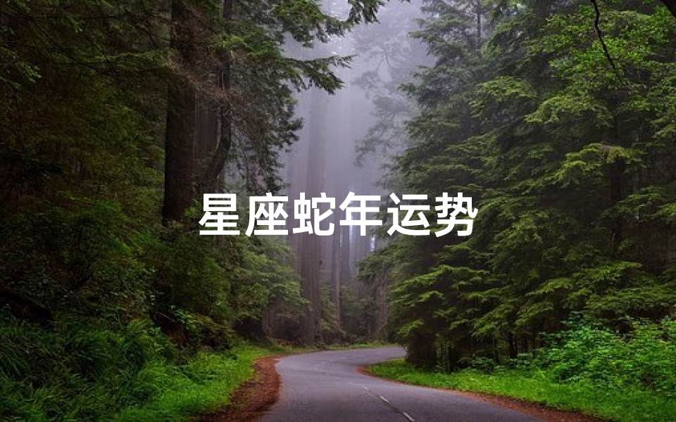 星座蛇年运势