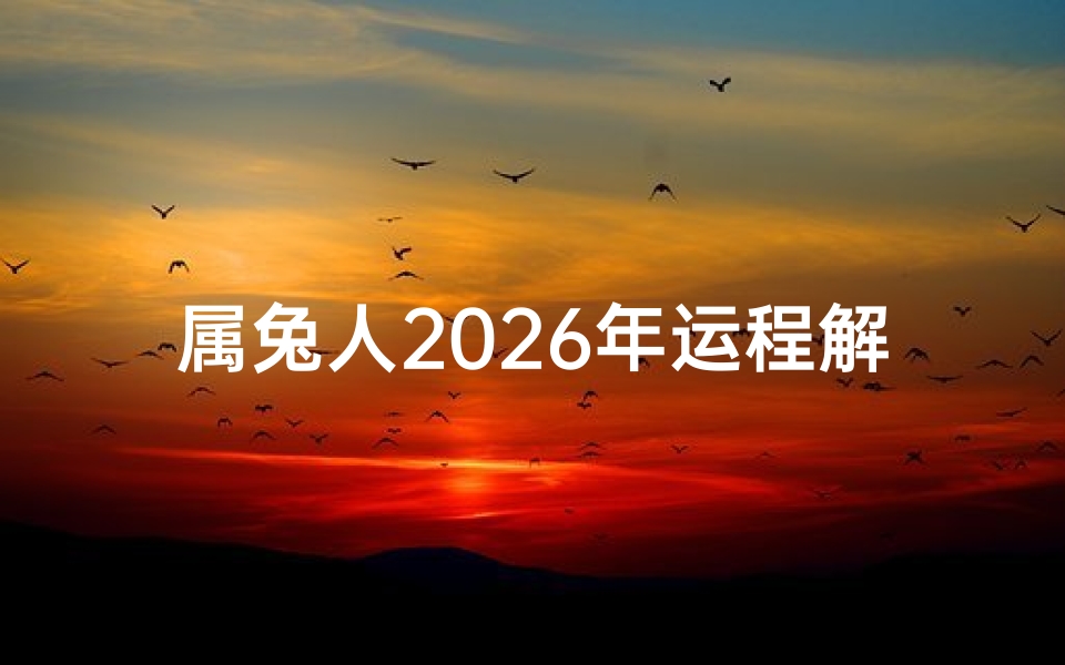属兔人2026年运程解析,事业财运与情感健康全指南