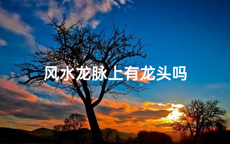 风水龙脉上有龙头吗