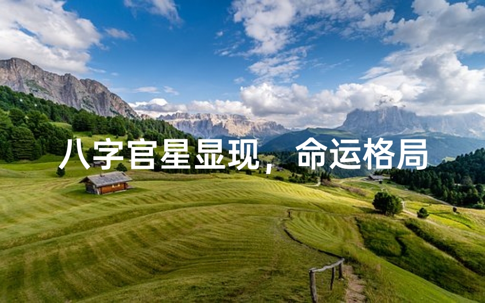 八字官星显现,命运格局何为?
