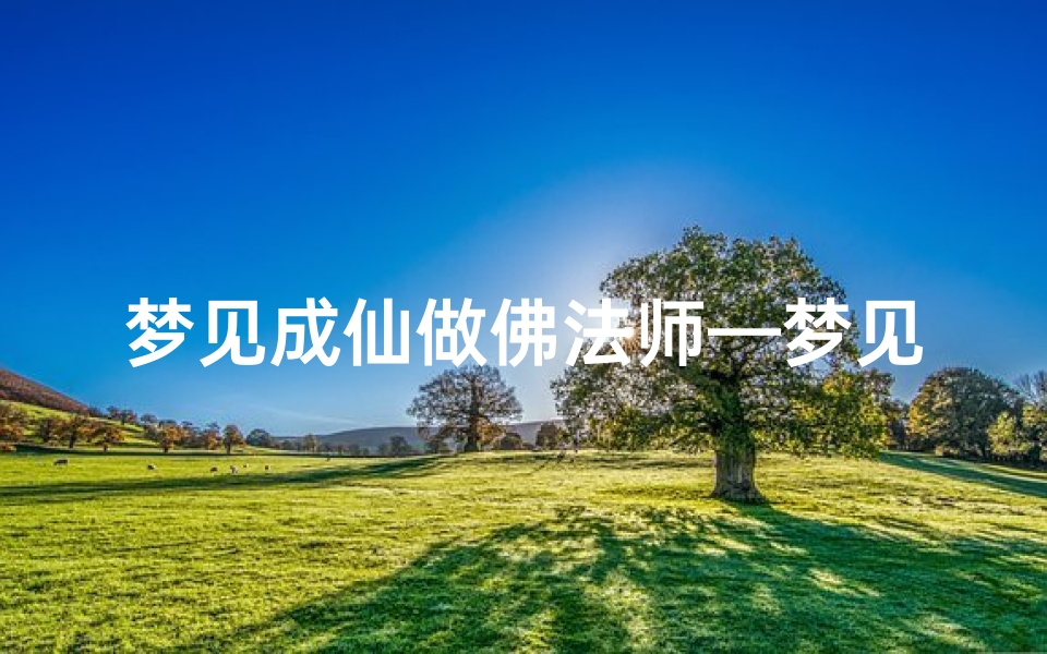 梦见成仙做佛法师—梦见佛家仙家