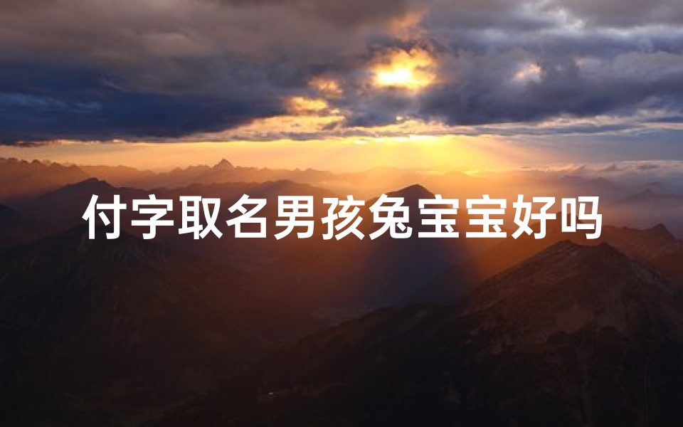 付字取名男孩兔宝宝好吗;付字起名字