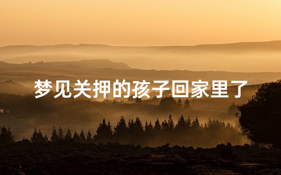 梦见关押的孩子回家里了,梦见孩子被关起来,后来又放出来了
