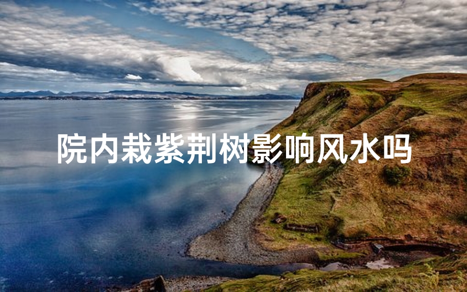 院内栽紫荆树影响风水吗;庭院风水:紫荆树种植宜忌解析