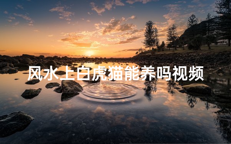 风水上白虎猫能养吗视频、白虎猫风水适宜养吗?揭秘家居风水禁忌