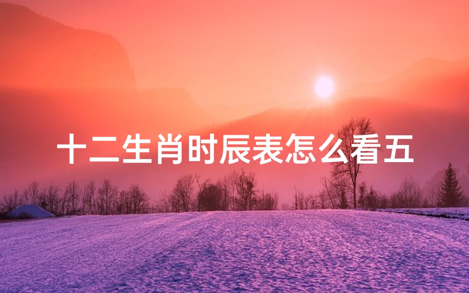 十二生肖时辰表怎么看五行(12时辰与五行及生肖的关系)