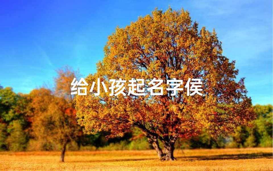 给小孩起名字侯