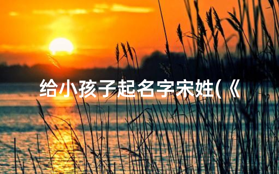 给小孩子起名字宋姓(《宋姓宝宝名字精选:寓意美好,寓意吉祥》)