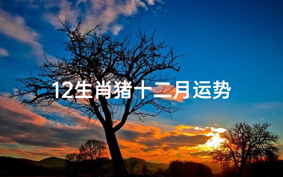 12生肖猪十二月运势
