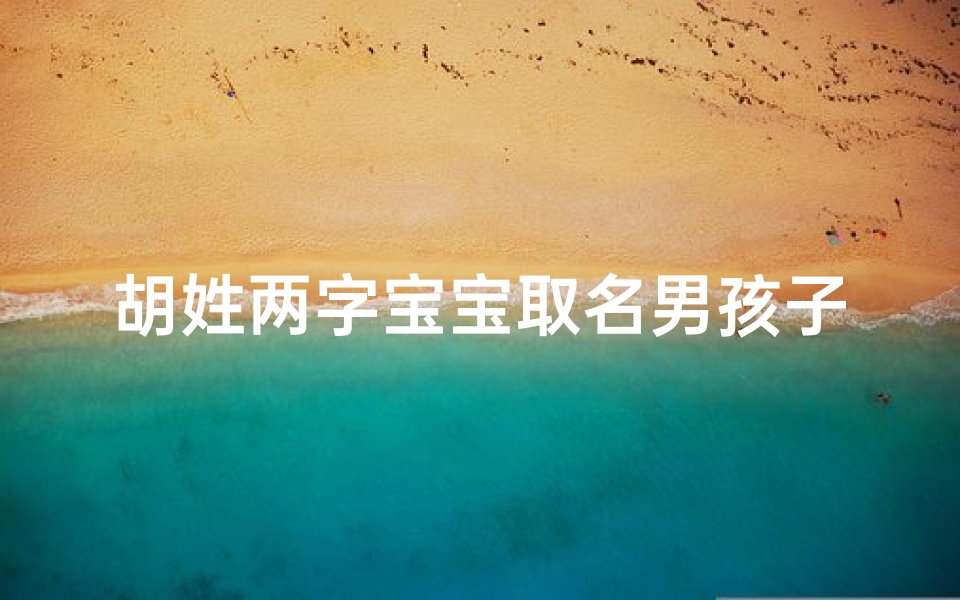 胡姓两字宝宝取名男孩子