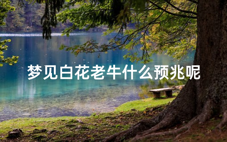 梦见白花老牛什么预兆呢(梦见白花老牛什么预兆呢周公解梦)