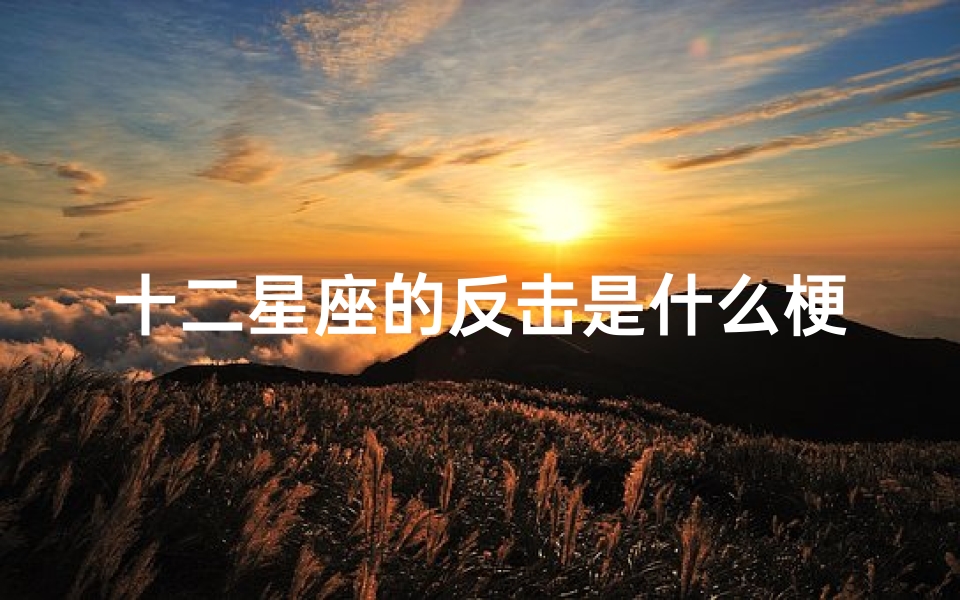 十二星座的反击是什么梗(忍受不了闲言碎语会直接反击的星座有哪些,你知道吗 )