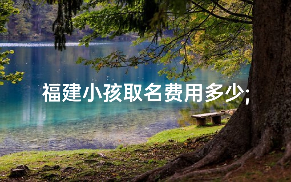 福建小孩取名费用多少;福建小孩取名费用揭秘:价格几何?