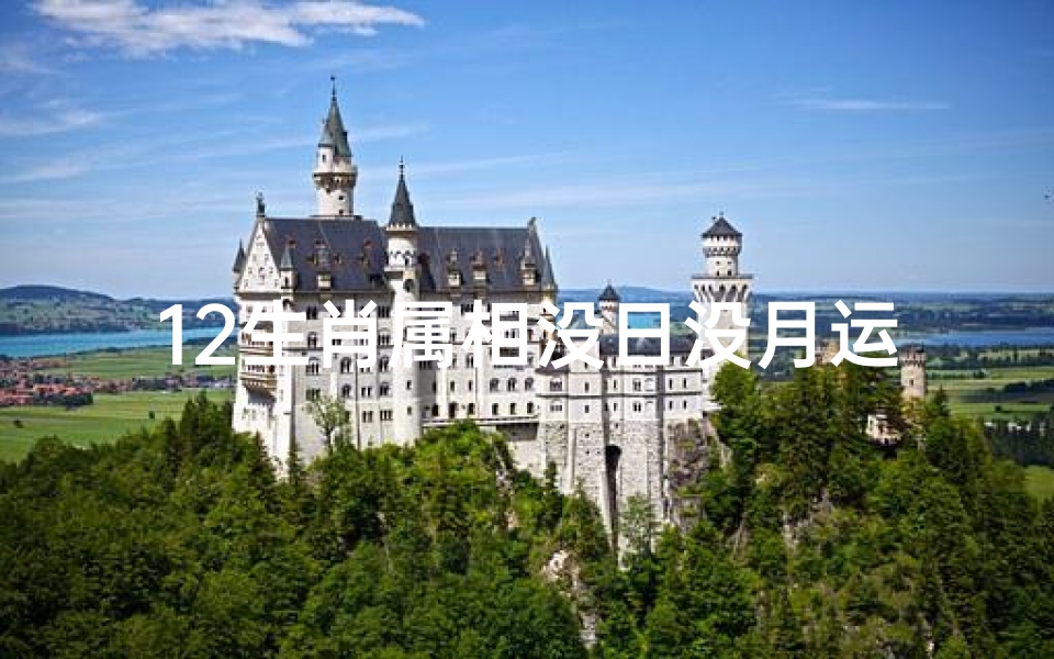 12生肖属相没日没月运势(第一运程2025年5月5日十二生肖运势解析)