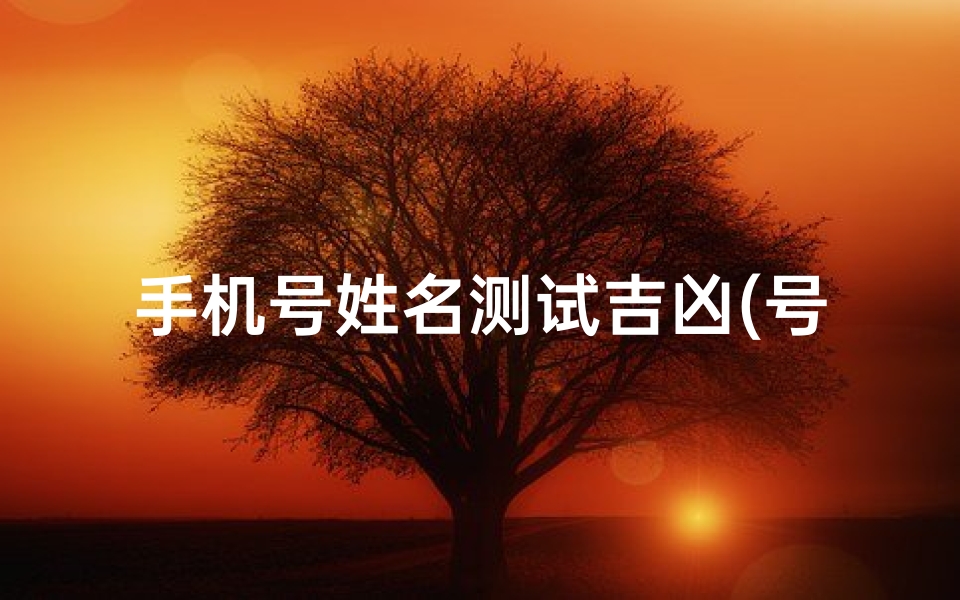 手机号姓名测试吉凶(号码测试吉凶打分,手机号码测吉凶哪一个准)