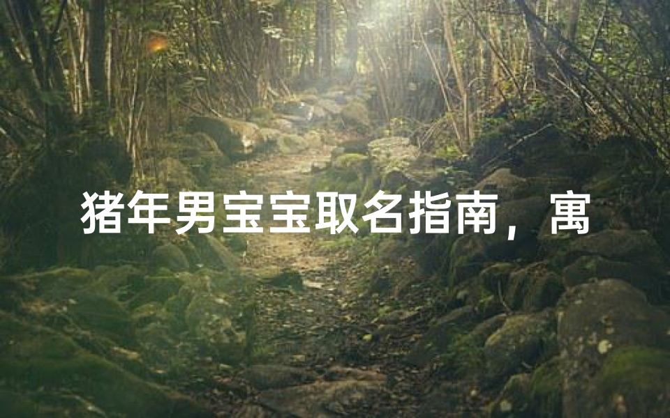 猪年男宝宝取名指南，寓意吉祥的好名字推荐