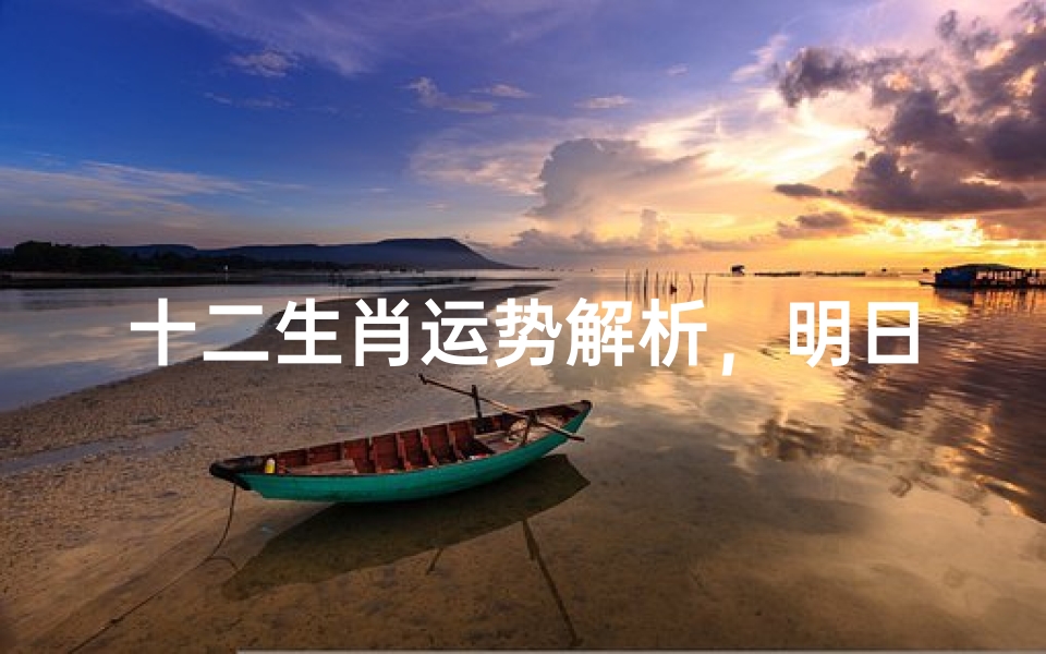 十二生肖运势解析,明日运程吉凶预测指南
