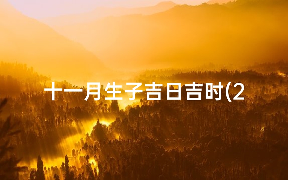 十一月生子吉日吉时(2025年11月剖腹产黄道吉日一览表)