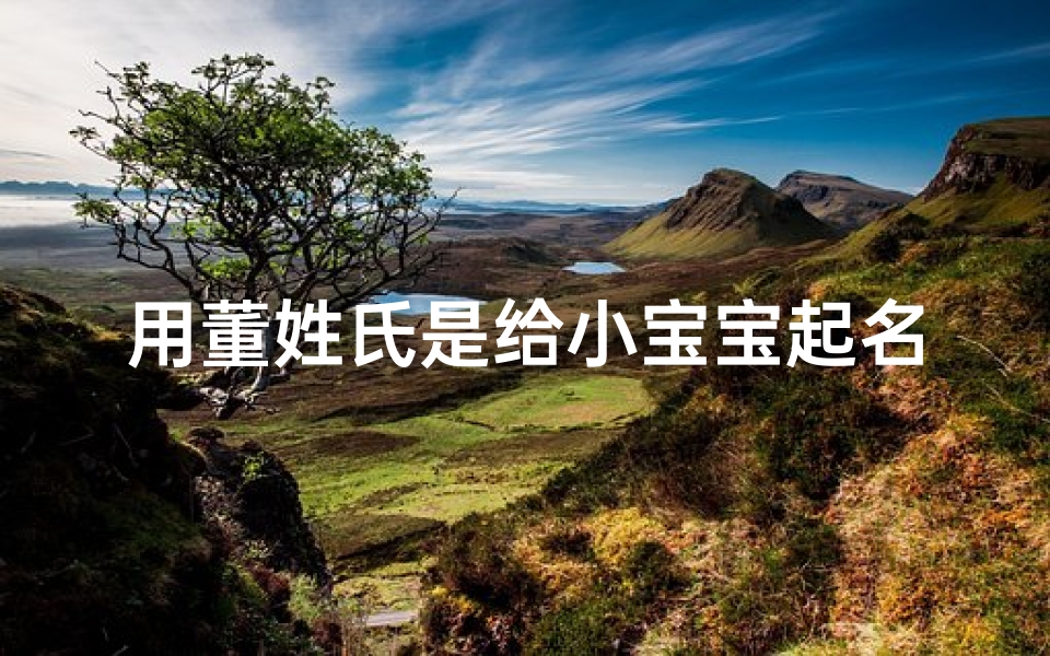 用董姓氏是给小宝宝起名(董姓宝宝起名方法,有气质的董姓女孩名字参考)