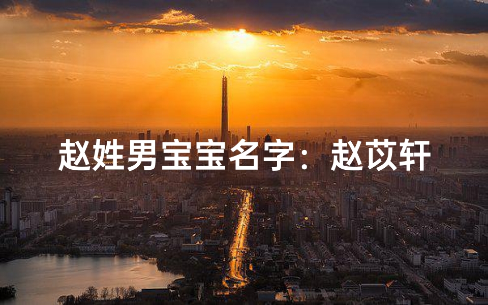 赵姓男宝宝名字：赵苡轩成长记