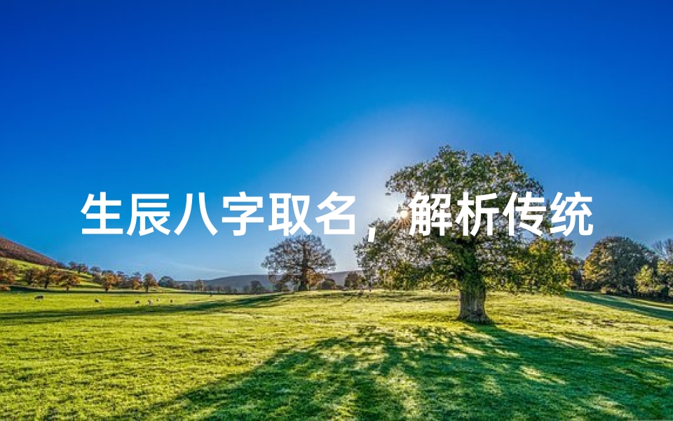 生辰八字取名,解析传统姓名学对人生的影响