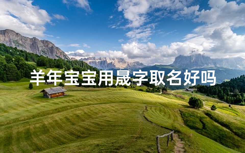 羊年宝宝用晟字取名好吗怎么样(羊年宝宝用晟字取名:寓意辉煌,未来可期)