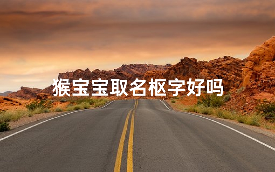 猴宝宝取名枢字好吗