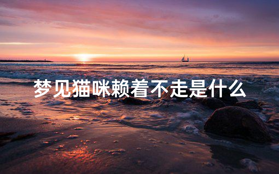 梦见猫咪赖着不走是什么意思(梦见猫赖在身上不肯走)