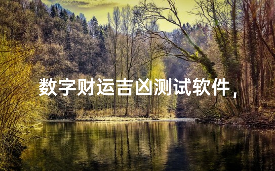 数字财运吉凶测试软件,揭秘你的财富密码
