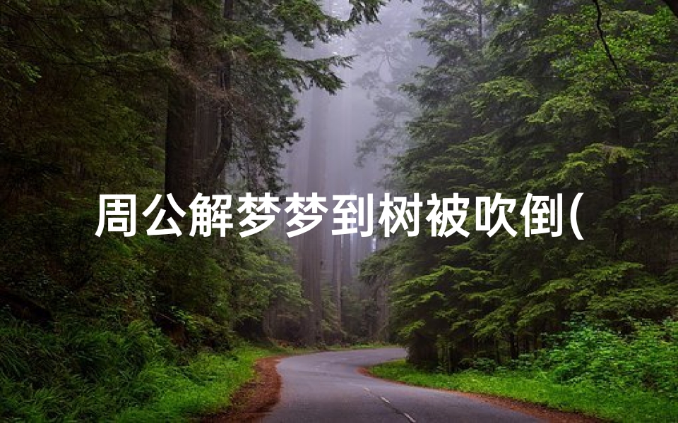 周公解梦梦到树被吹倒(周公解梦梦见大风把树刮倒,梦见狂风大作把树刮倒)