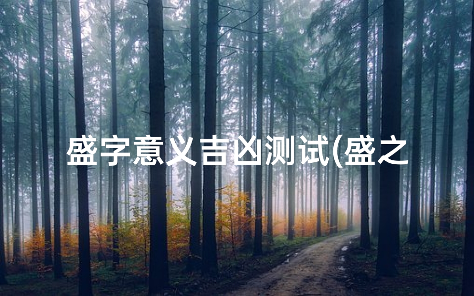盛字意义吉凶测试(盛之博名字好不好)