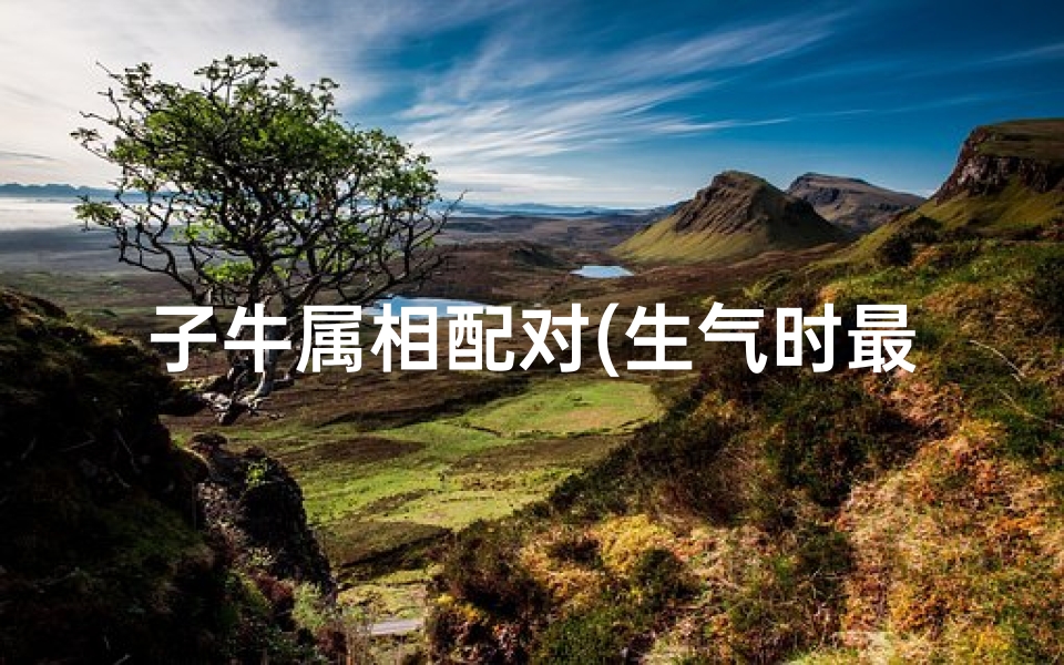 子牛属相配对(生气时最喜欢甩脸子的生肖,真心惹不起)