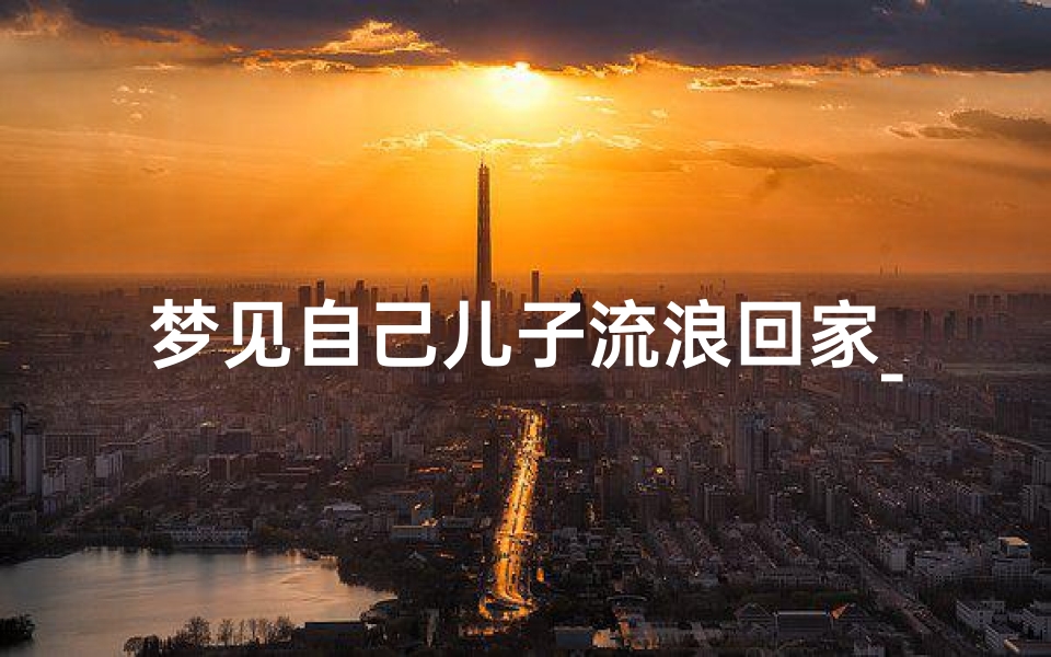 梦见自己儿子流浪回家_梦见儿子流浪和自己相遇