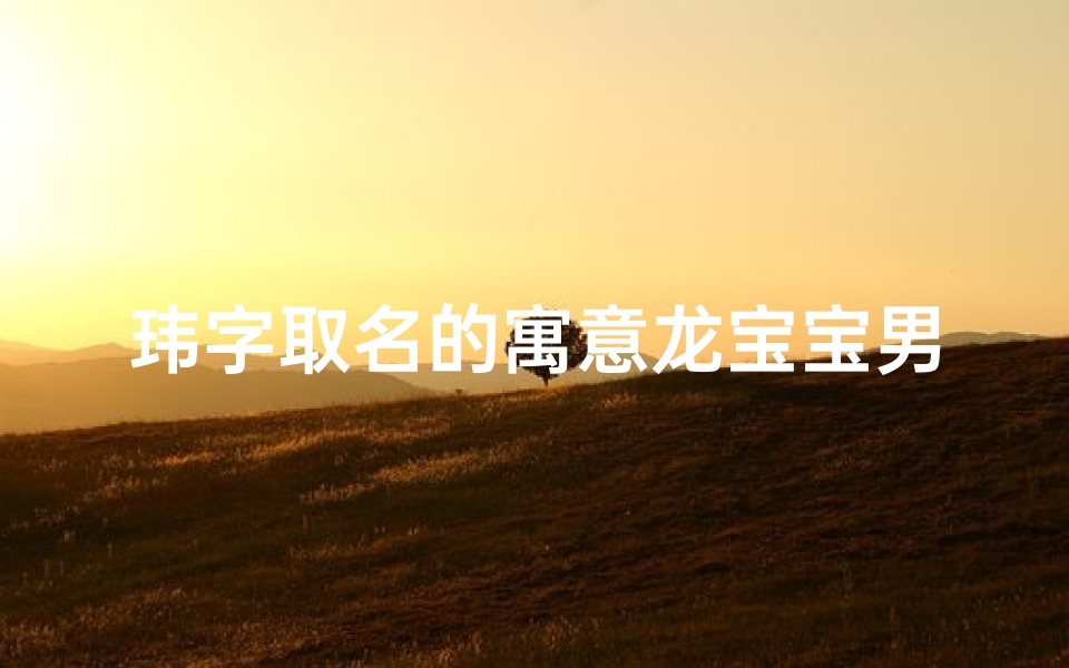玮字取名的寓意龙宝宝男孩_玮字取名有寓意