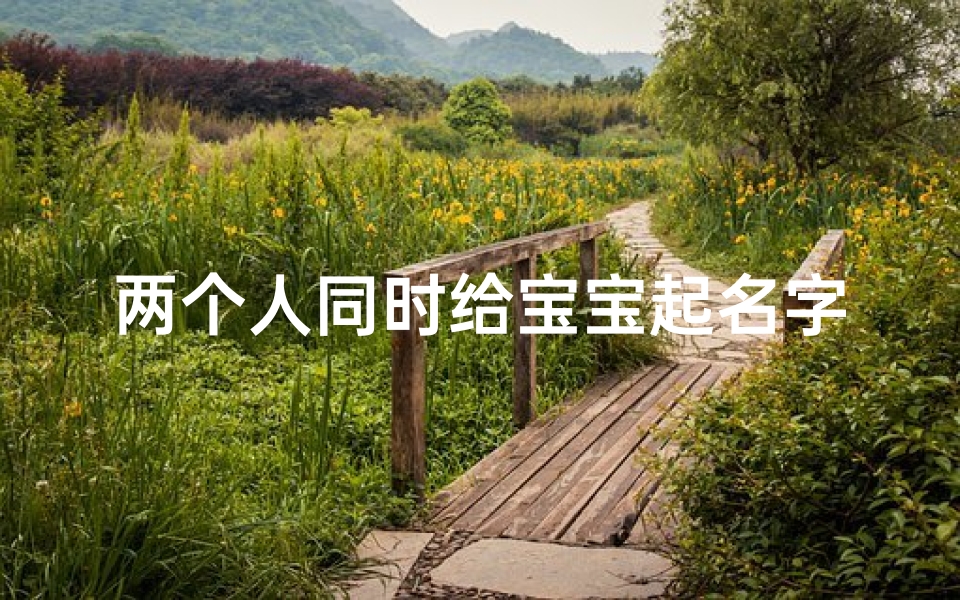 两个人同时给宝宝起名字(两个人都姓王怎么给宝宝起名字)