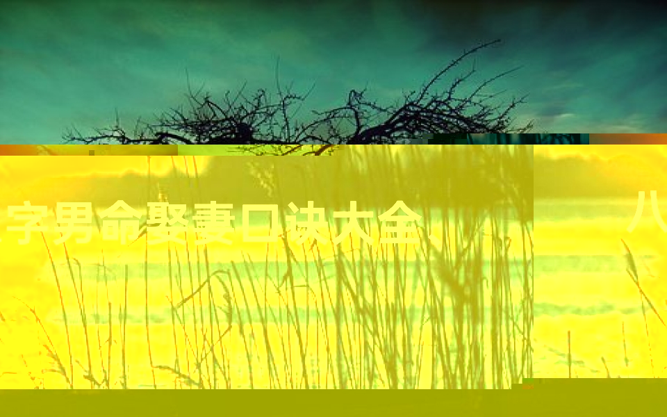 八字男命娶妻口诀大全、八字男命娶妻口诀大全:揭秘八字婚姻奥秘