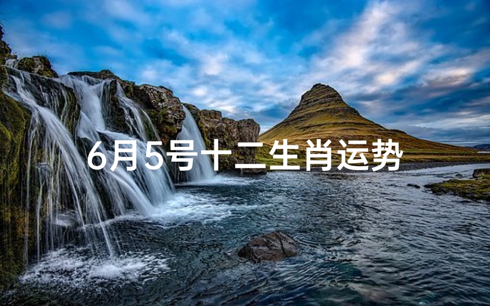 6月5号十二生肖运势