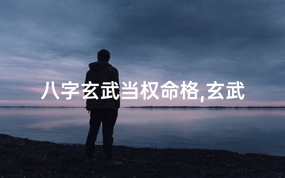 八字玄武当权命格,玄武当权癸未日