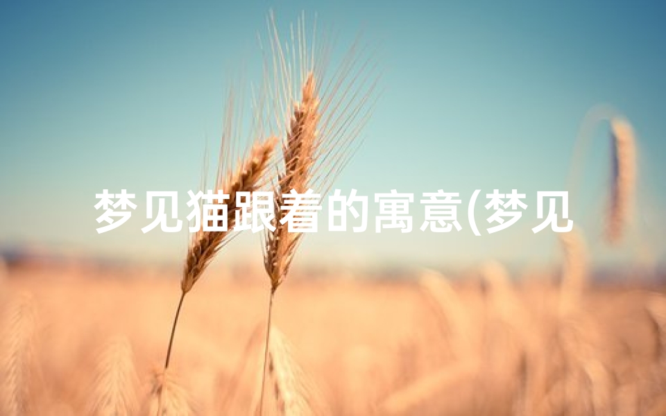 梦见猫跟着的寓意(梦见猫跟我)
