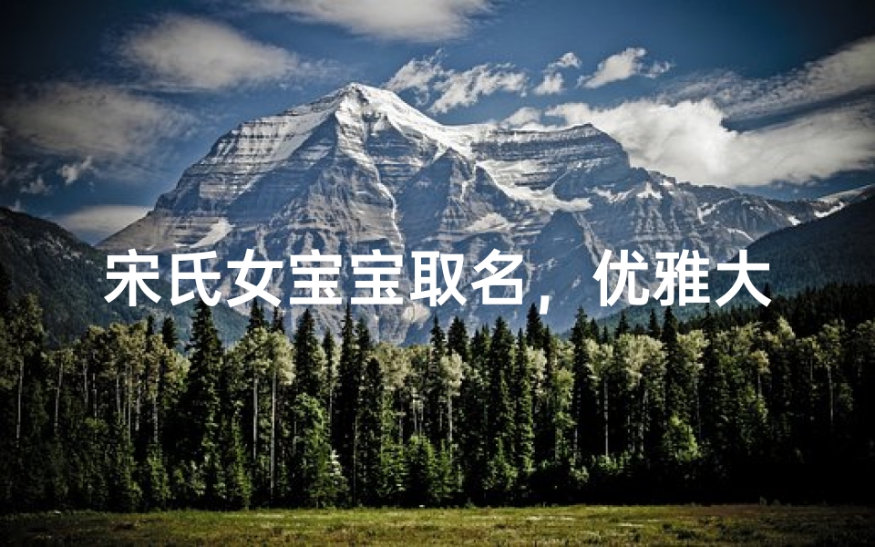 宋氏女宝宝取名,优雅大方的女孩名字精选