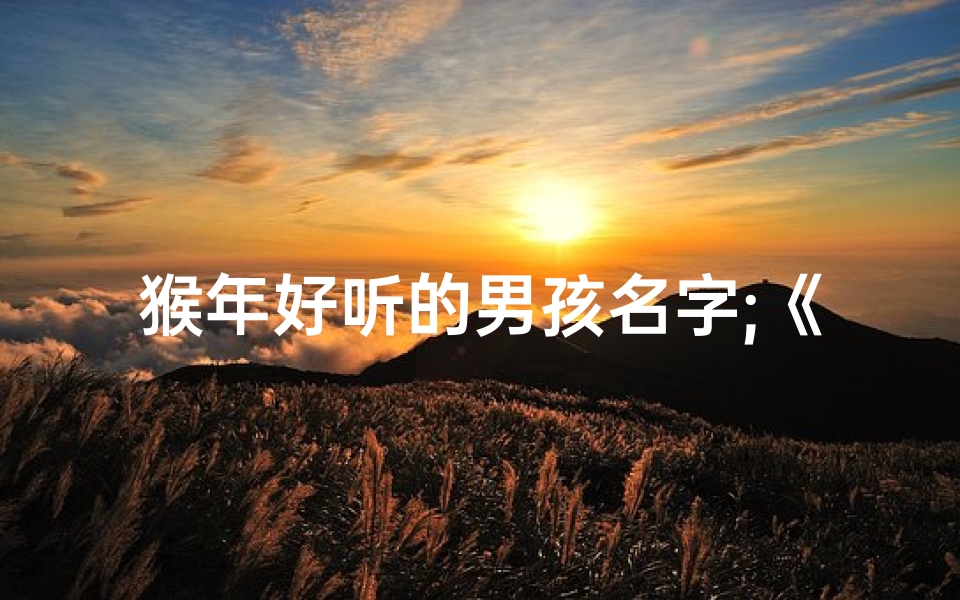 猴年好听的男孩名字;《猴年宝贝:男孩名字如何取?创意命名攻略》