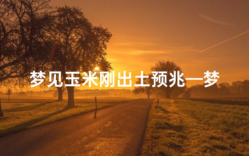 梦见玉米刚出土预兆—梦见玉米小苗刚出土是什么意思