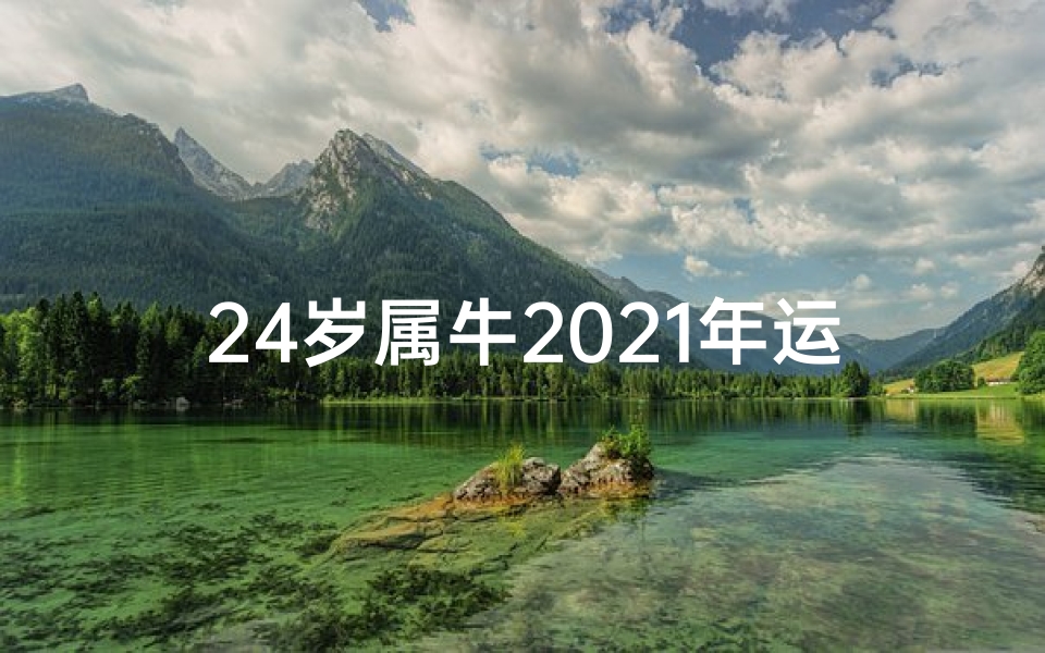 24岁属牛2021年运势(2024生肖牛运势大全:财运亨通,事业腾飞)