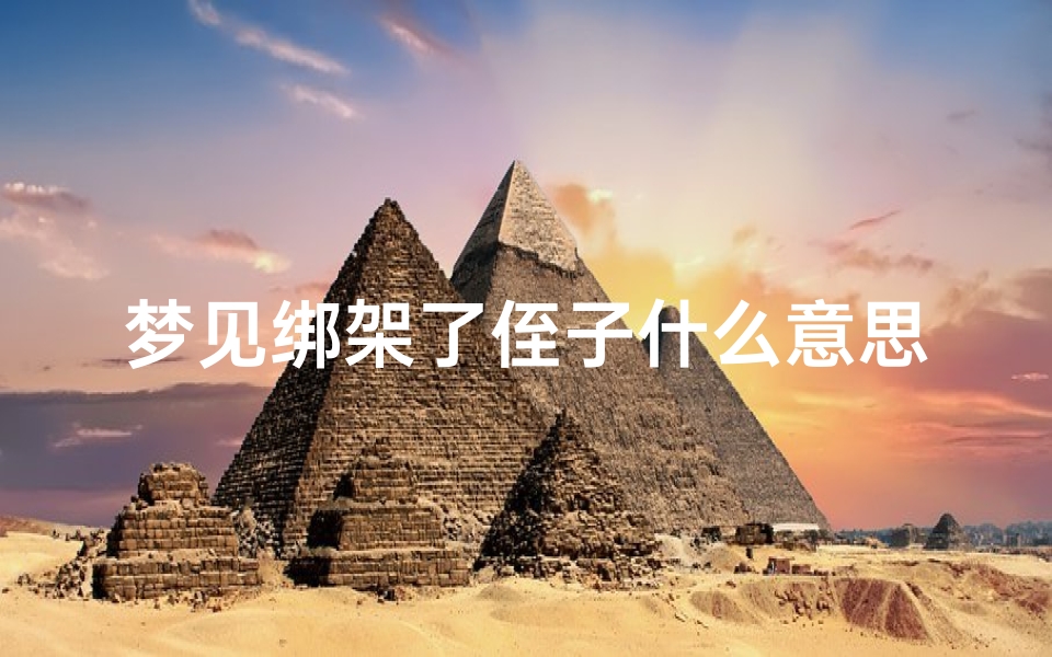 梦见绑架了侄子什么意思,梦见侄子被绑架又被解救出来