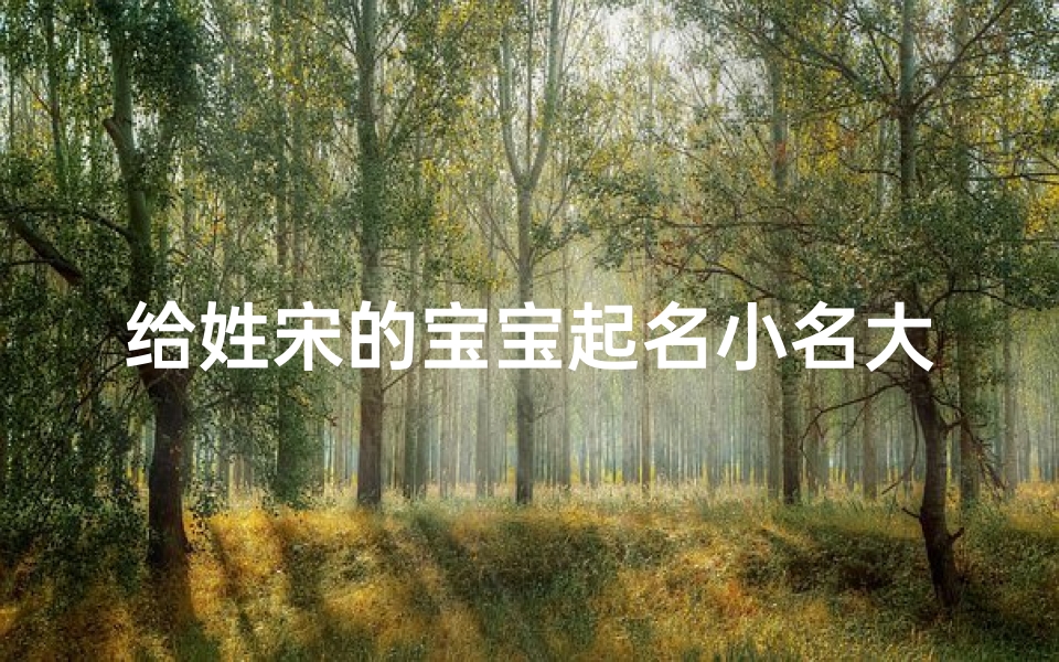 给姓宋的宝宝起名小名大全(求姓宋的小名,特别一点搞笑的一点的都可以 )