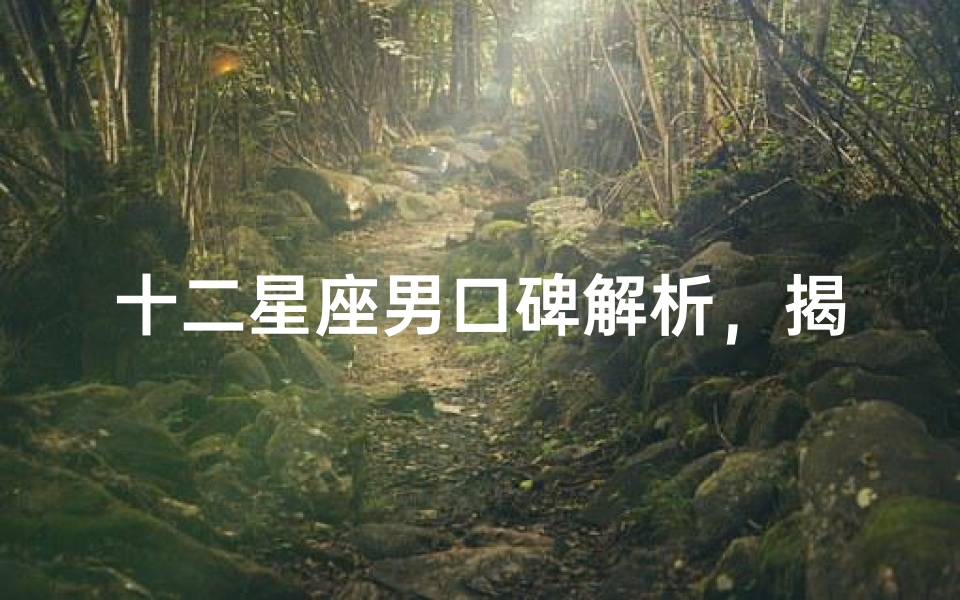 十二星座男口碑解析,揭秘星座男的魅力与争议