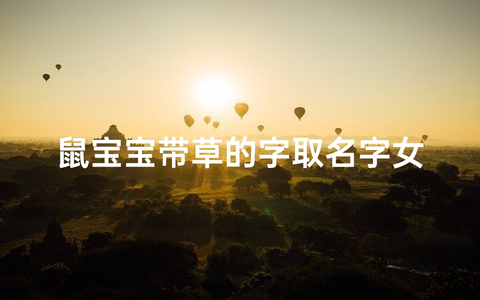 鼠宝宝带草的字取名字女孩-属鼠的女孩 草字头的字好不好