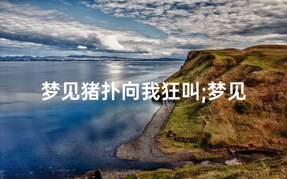 梦见猪扑向我狂叫;梦见猪冲我叫