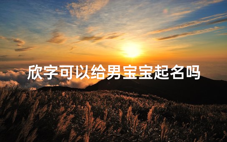 欣字可以给男宝宝起名吗(欣字取名什么寓意)